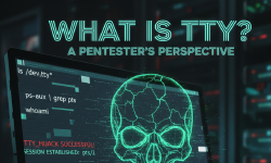 Featured image of post What is TTY?